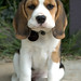 Bonnie Little Photo 11