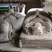 Elizabeth Harling Photo 12