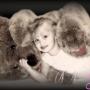 Kristy Hayes Photo 26