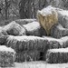 Ann Hays Photo 32