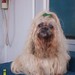 Debbie Shiver Photo 15