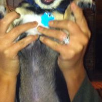 Cindy Pitts Photo 38