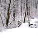 Daniel Winters Photo 24