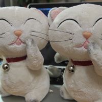 Miao Huang Photo 8