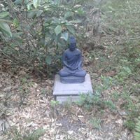 Kenneth Garrison Photo 24