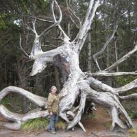 Margaret Melvin Photo 9