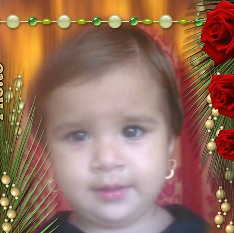 Hanif Muhammad Photo 25