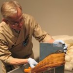 Stephen Pine Photo 1