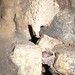 Amy Meacham Photo 24