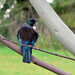 Brenda Feathers Photo 10