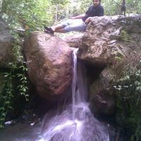 Nima Haghighi Photo 11