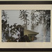 Christopher Angelo Photo 20
