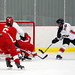 Ann Carleton Photo 10