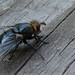 Mark Potter Photo 23