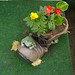 Denise Wolfe Photo 31