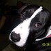 Tina Olds Photo 15