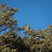 Scott Matthys Photo 4