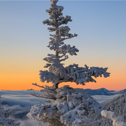 Don Demers Photo 16