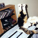 Jody Wheeler Photo 9