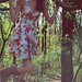 Allison Franklin Photo 34