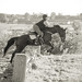 Tyrone Hunter Photo 11