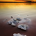 David Singh Photo 29