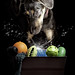 Don Latta Photo 11