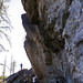 Rita Fields Photo 31