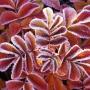 Richard Custer Photo 25