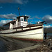 Sally Gregory Photo 9
