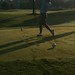 Darrell Mann Photo 20