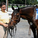 Cindy Tack Photo 13