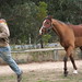 Jarrod Robinson Photo 2