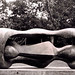 Henry Donald Photo 11