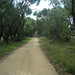 Frances Robertson Photo 20