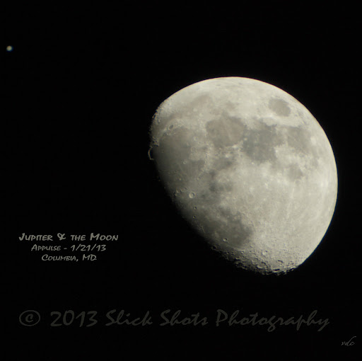 Vicki Chapman Photo 33