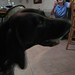 Cathy Meadows Photo 13