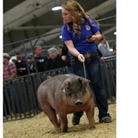 Rebecca Harless Photo 12
