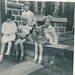 Diane Stevenson Photo 27