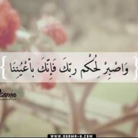 Mohamed Fayad Photo 23