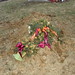 Steve Nance Photo 26