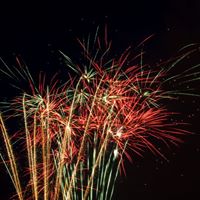 Deborah Volpe Photo 8