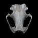 Michael Castor Photo 31