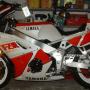 Steven Blake Photo 18