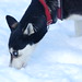 Joanne Mackey Photo 21