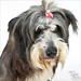 Sherry Cline Photo 29
