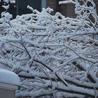 Arleen Welch Photo 11
