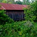 John Cooks Photo 23