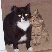 Sharon Proctor Photo 29