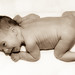Lynn Hoff Photo 18